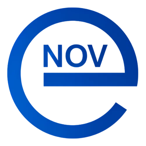 E-NOV AUDIT